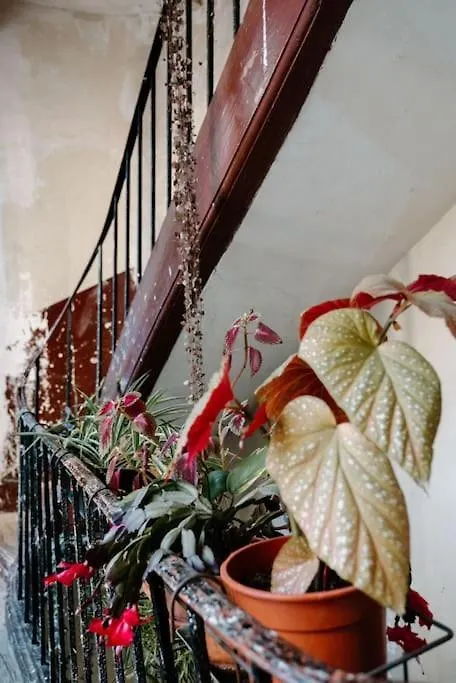 Charming Hideaway * Paris